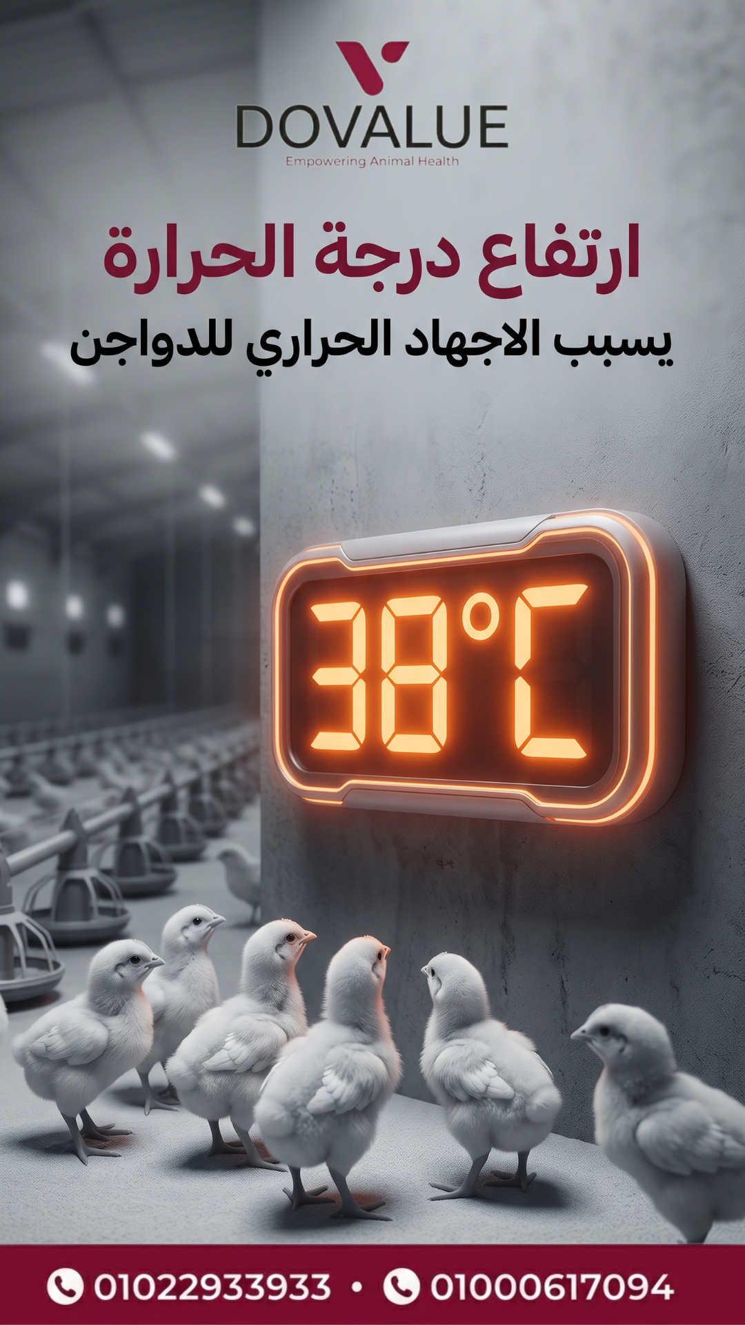 الستوري 1