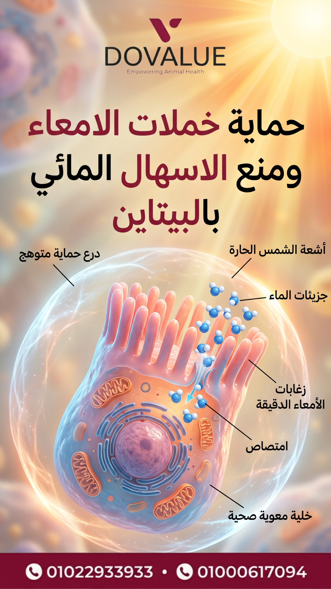 الستوري 5